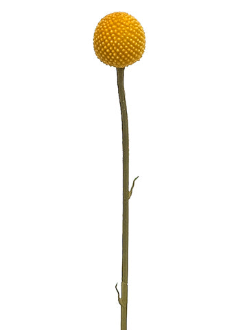 21.5" Billy Buttons Spray  Yellow (pack of 12)