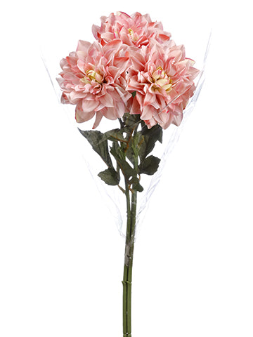 25" Dahlia Bundle x3  Pink Mauve (pack of 12)