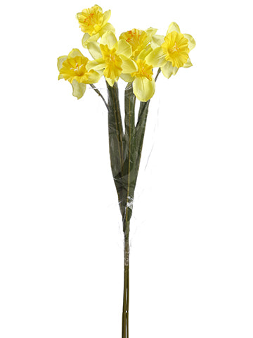 28" Daffodil Bundle x3  Yellow (pack of 12)