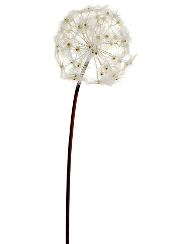 28" Dandelion Spray  Cream (pack of 6)
