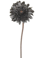 21" Black Magic Gerbera Daisy Spray Black (pack of 12)