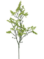 34" Mini Dill Spray  Green (pack of 12)