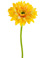 Soft Yellow