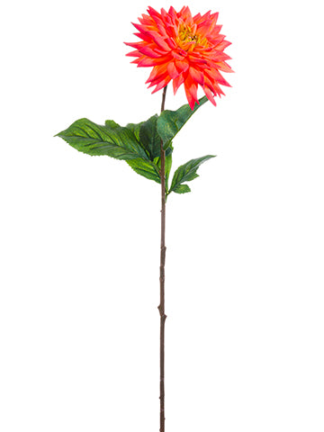 34" Dahlia Spray  Coral (pack of 12)