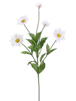 31" Daisy Spray  White (pack of 12)