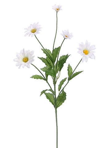 31" Daisy Spray  White (pack of 12)