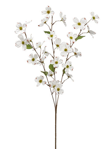 32" Dogwood Spray  Cream (pack of 24)
