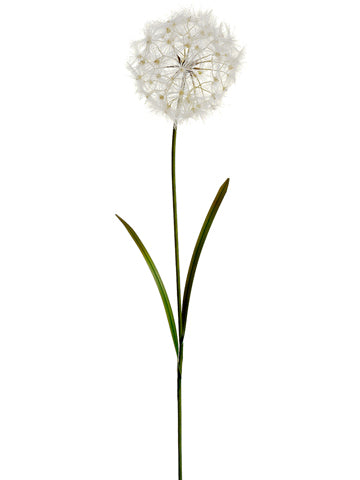 40" Dandelion Spray  Cream (pack of 12)