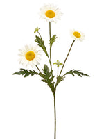28.5" Daisy Spray  White (pack of 12)