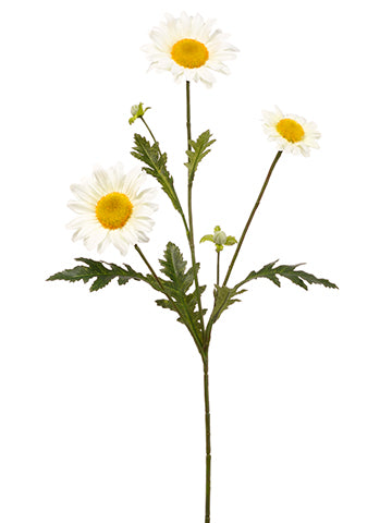 28.5" Daisy Spray  White (pack of 12)