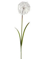 48" Dandelion Spray  Cream (pack of 8)