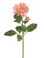 Two Tone Coral