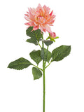 Two Tone Coral