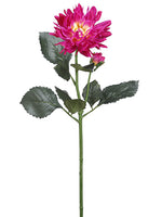 Two Tone Orchid