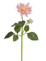 Pink Lavender