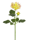 Yellow Pink