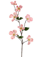 Rose Cream