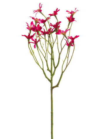Two Tone Cerise