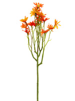 Two Tone Orange