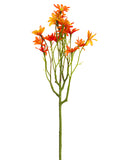 Two Tone Orange