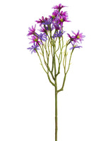 Two Tone Purple