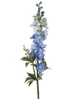 Delphinium Blue