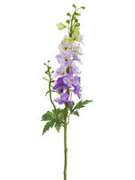 Two Tone Lavender