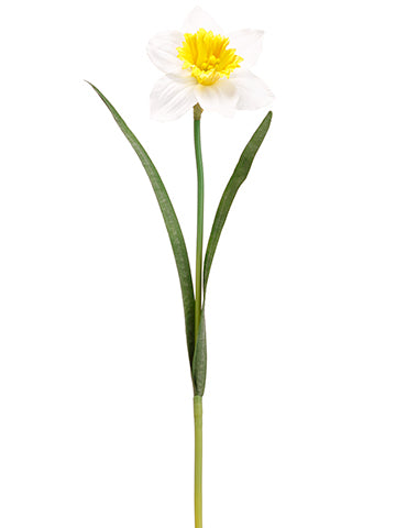 White Yellow