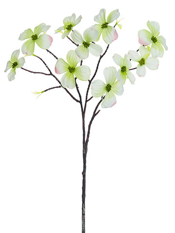 27" Dogwood Spray  Green Cream (pack of 24)