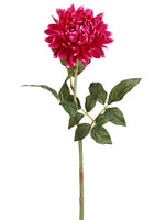 Rubrum
