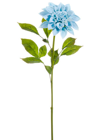 Baby Blue