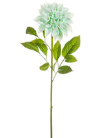 Seafoam