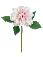 White Pink