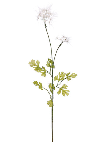31" Dandelion Spray  Cream Green (pack of 12)