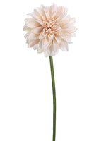 Pink Soft