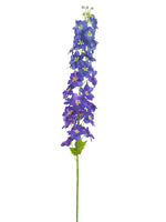 Blue Purple