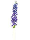 Blue Purple