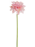 Cerise Pink