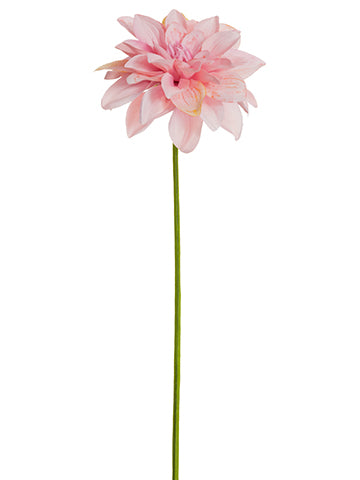 Cerise Pink