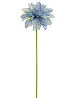 Lavender Blue