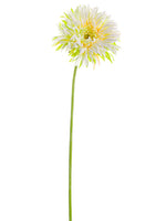White Green