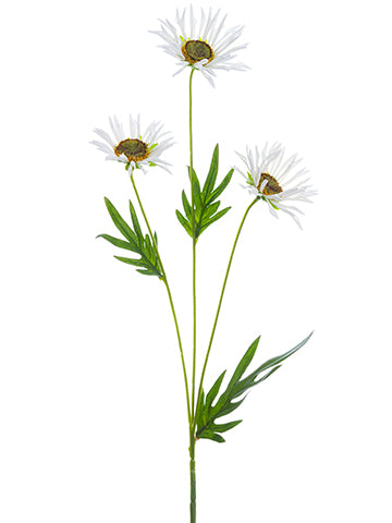20" Mountain Daisy Spray  White (pack of 12)