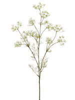 White Green