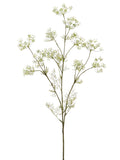 White Green