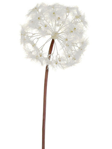 28" Dandelion Spray  Ivory (pack of 8)
