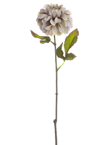 Antique Beige
