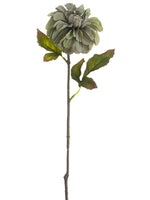 Antique Green