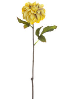 Antique Yellow