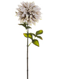 Antique Beige