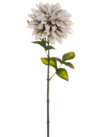 Antique Beige
